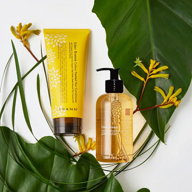 Eden Breeze Colour Treated Hair Shampoo